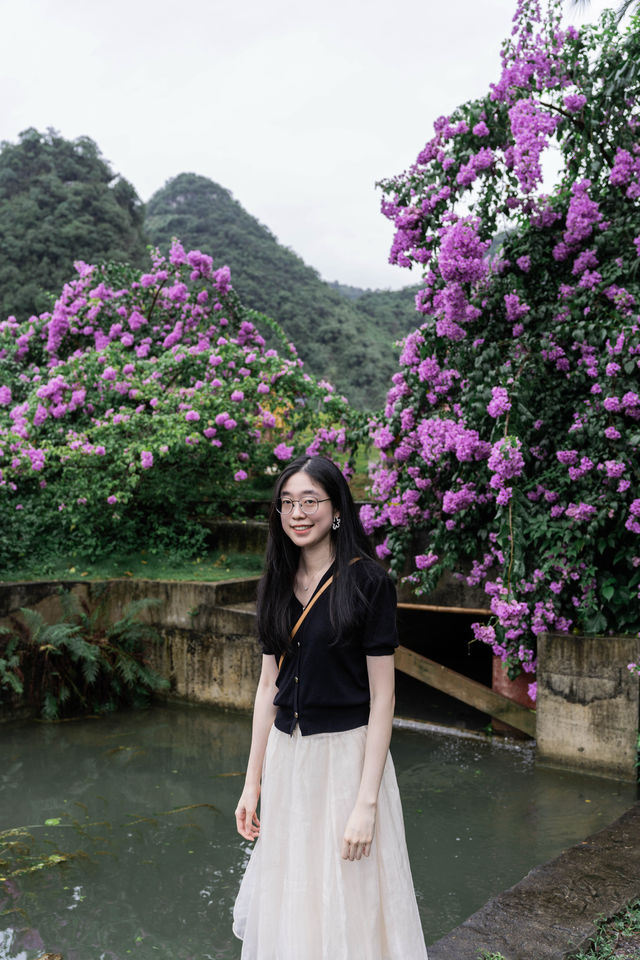 柳州｜龍潭公園遊玩攻略內附路線