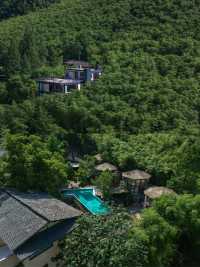 山野初夏，清涼竹海的悠然時光