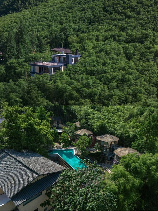 山野初夏，清涼竹海的悠然時光