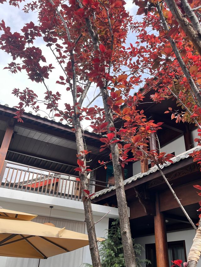 唯一一次，民宿當屋企住！！