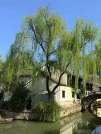 住進景點裡的酒店….紹興大禹開元觀堂酒店