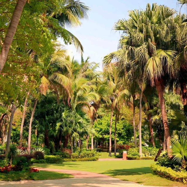 🌴屯門黃金海岸｜香港隱世「小泰國」！椰林沙灘+地中海風靚到似畫