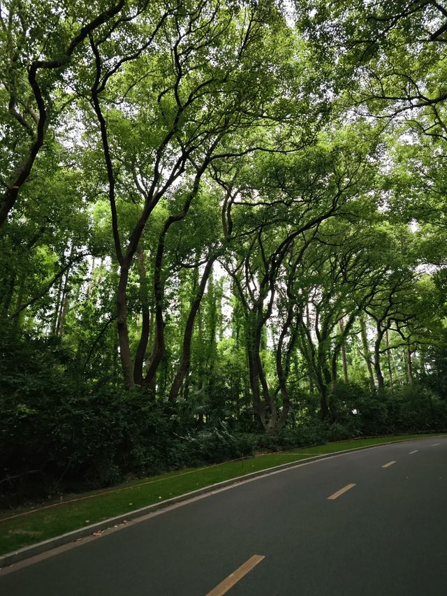 隱匿都市的花園國賓府邸——上海西郊賓館