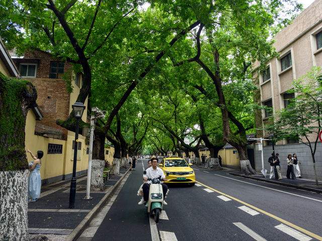 南京旅遊攻略，跟住攝影師遊南京