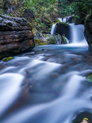 Shennongjia 3-Day Tour: Explore the Enigmatic Wilderness Without a Hitch