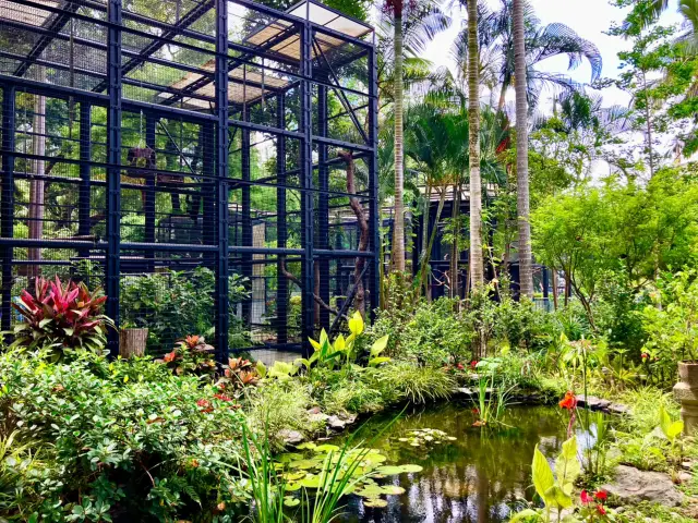 香港市中心的免費動植物園！