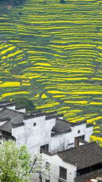 邂逅上饒，墜入人間仙境