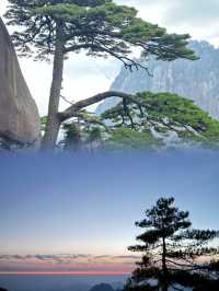 好震撼！難怪連李白都讚嘆黃山「別有天地非人間」