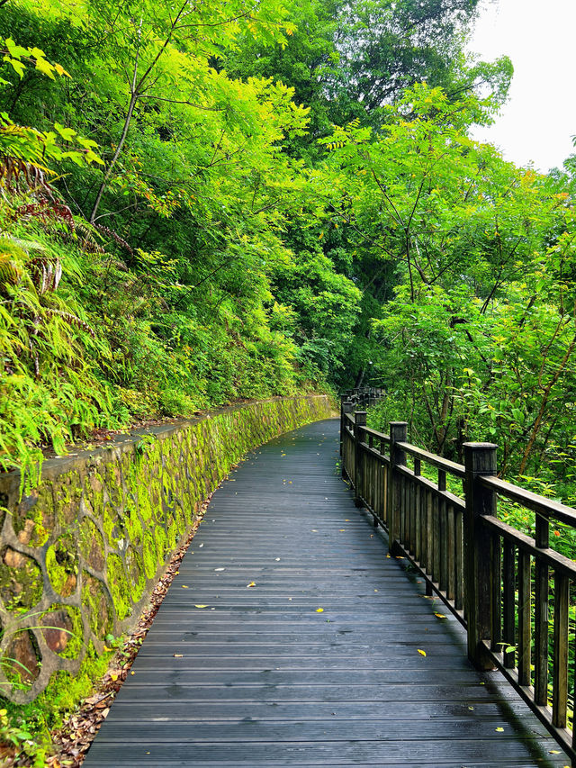 中國負離子濃度最高的風景旅遊區