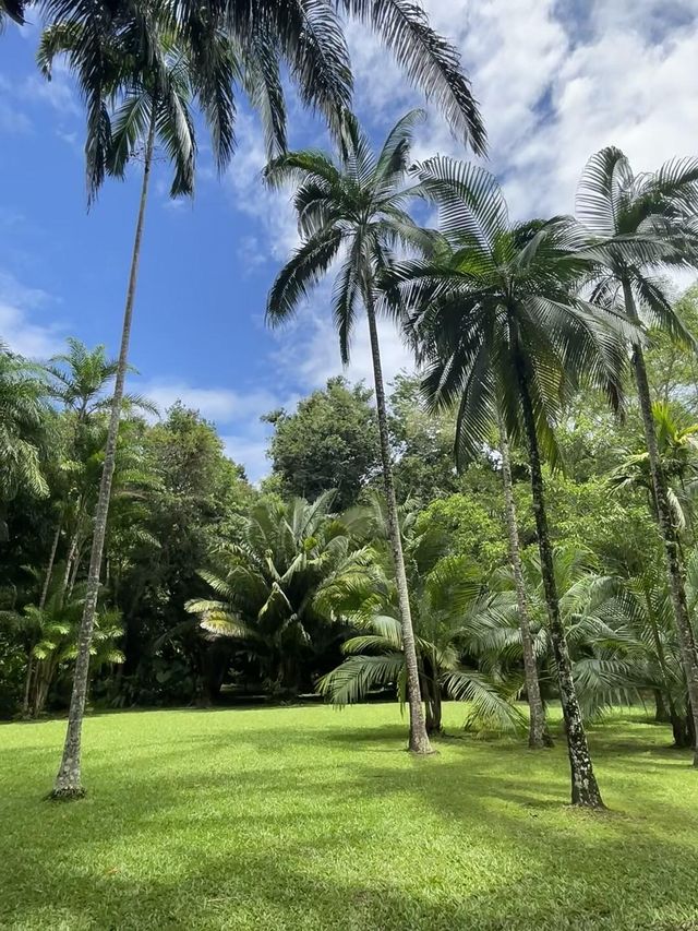 西雙版納之旅返嚟啦，暑假帶小朋友去嘅真係要諗清楚啊！