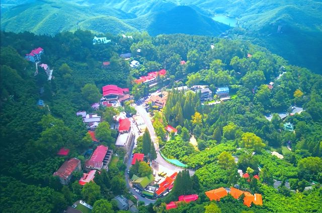 竹海深處，偷得浮生半日閒