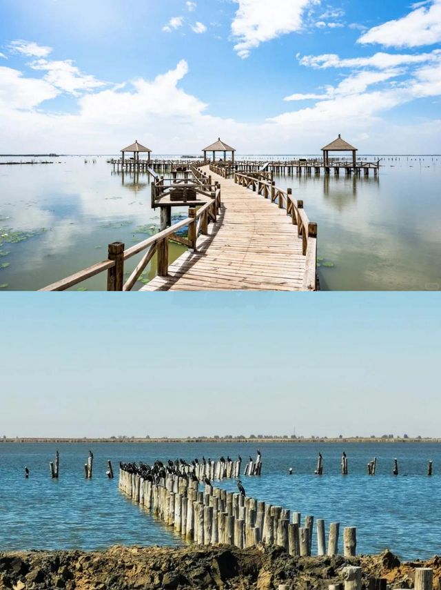 內蒙古·呼和浩特丨最全旅遊攻略，必打卡景點與美食