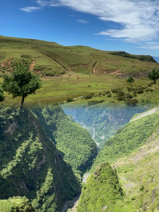 雲南大山包：黑頸鶴天堂，雲端徒步勝地