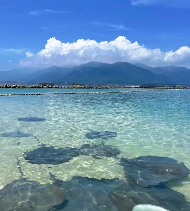 比起三亞，我更鍾意人少景靚嘅陵水小島