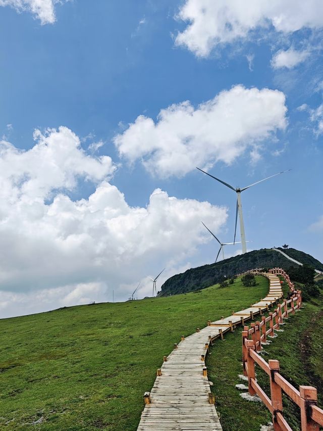 暑假避暑親子遊｜4個25℃仙境