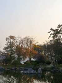 徐州小眾周邊遊「森系露營地
