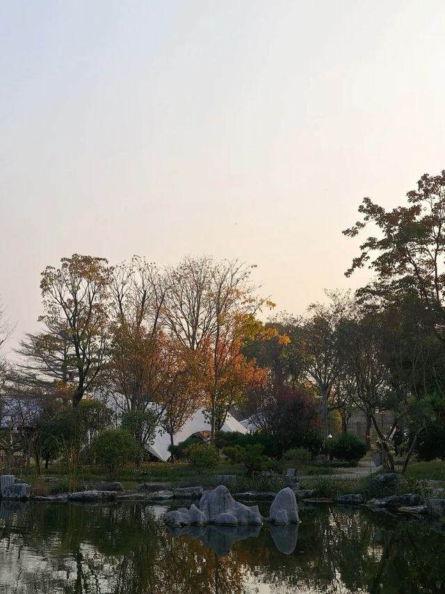 徐州小眾周邊遊「森系露營地