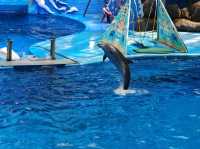 成都極地海洋公園深度漫遊指南｜避開人潮的私房攻略