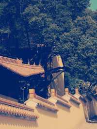 南京長蘆寺 禅意の旅