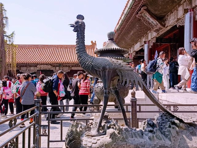 Exploring the Cultural Gems of Beijing's Dongcheng District