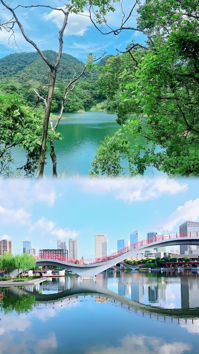 佛山必打卡！祖廟、雙皮奶、陶瓷藝術一日遊