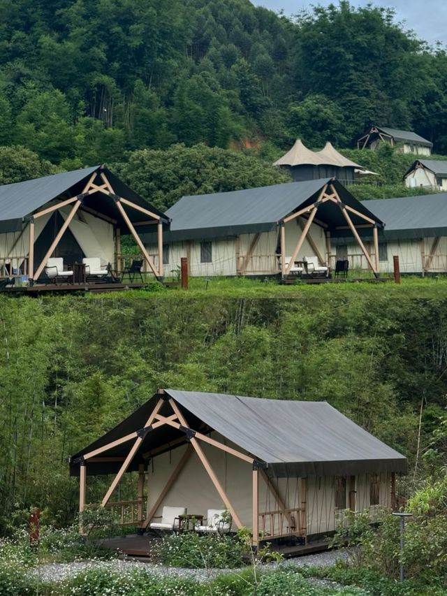 廣州增城山野露營小院已經next level～