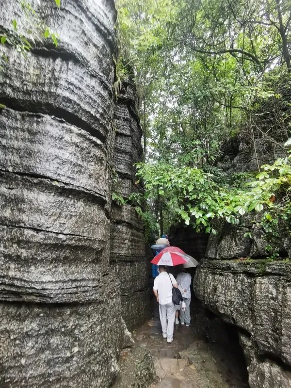 炎炎夏日，涼城利川歡迎您