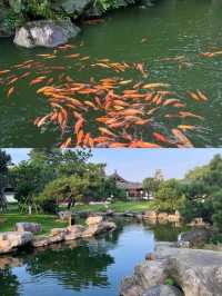 溫州新派建築打卡地