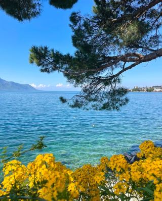 Montreux, Switzerland Day Trip