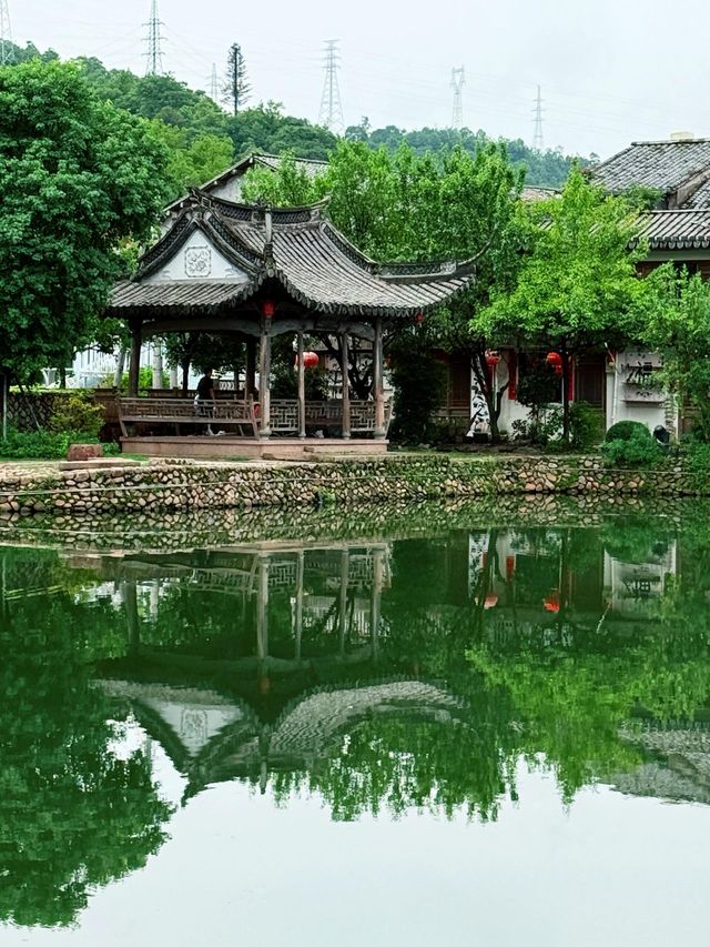 雨中漫步麗水古街｜這抹江南綠太治癒了