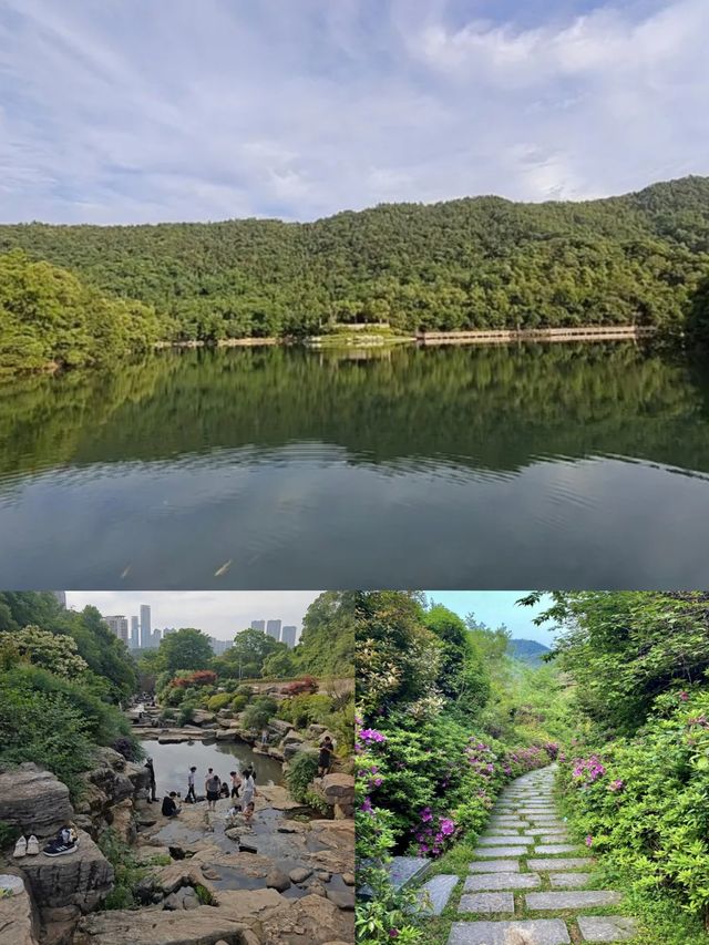 【長沙人私藏！呢條行山路線全程樹蔭+水庫遮太陽