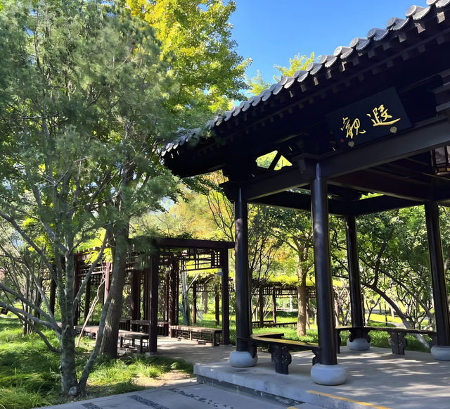 北京玉淵潭初秋攻略，超治癒