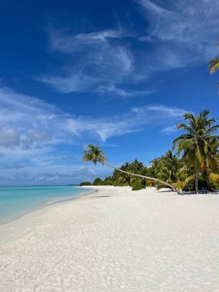 Enchanting Stay at Villa Park Resort