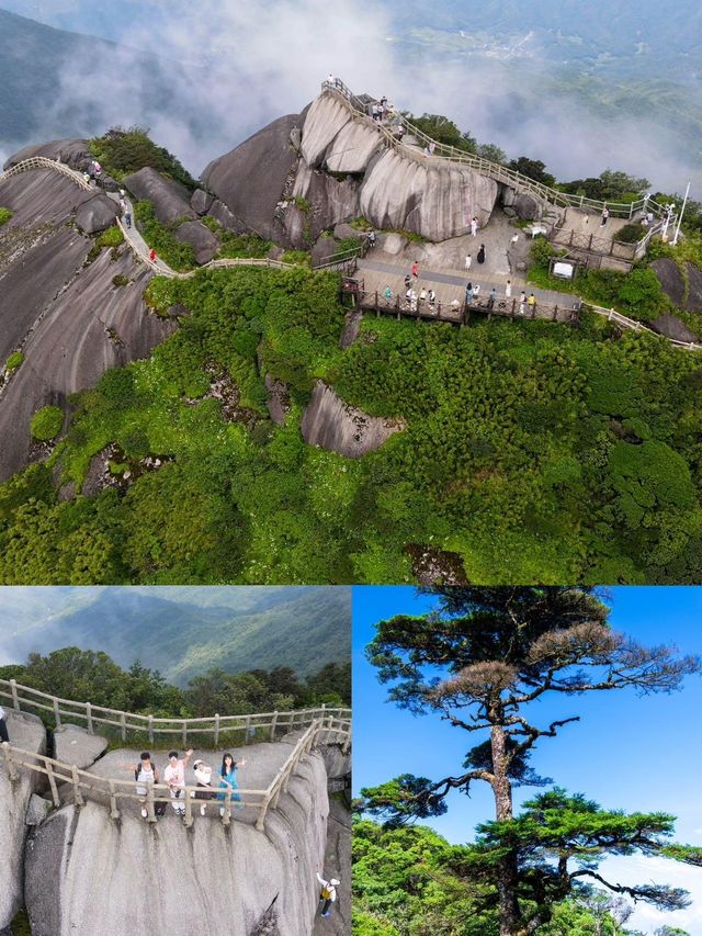 桂林貓兒山｜夏日避暑&小眾玩法get