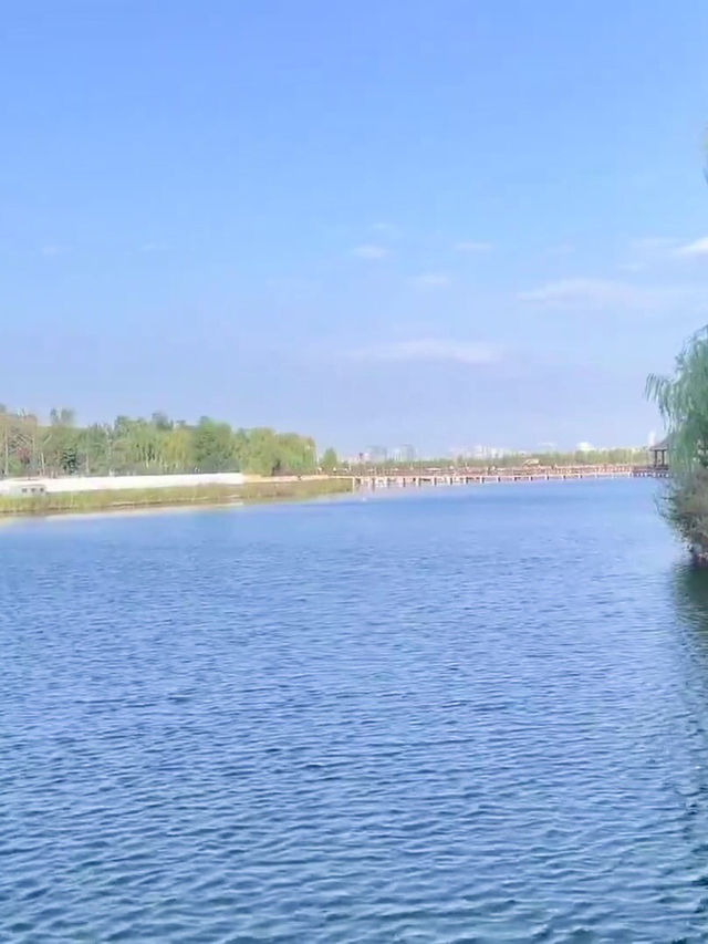 月下良辰——昆明池•七夕公園的浪漫回響