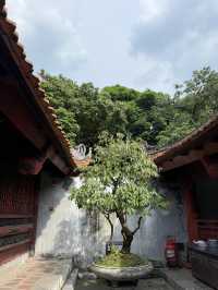 Temple of Literature 