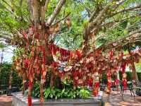 文昌宋氏祖居 | 一場穿越時光的旅行