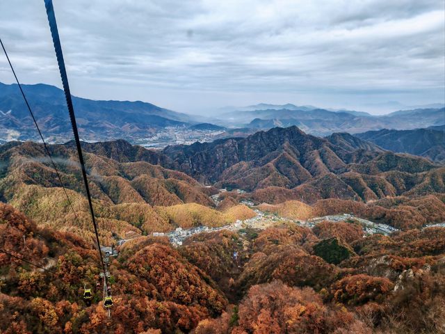 老君山遊玩指南！雲海、紅葉、道教聖地，一鍵解鎖人間天堂！