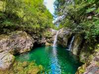 Escape in the beauty of Huangshan 