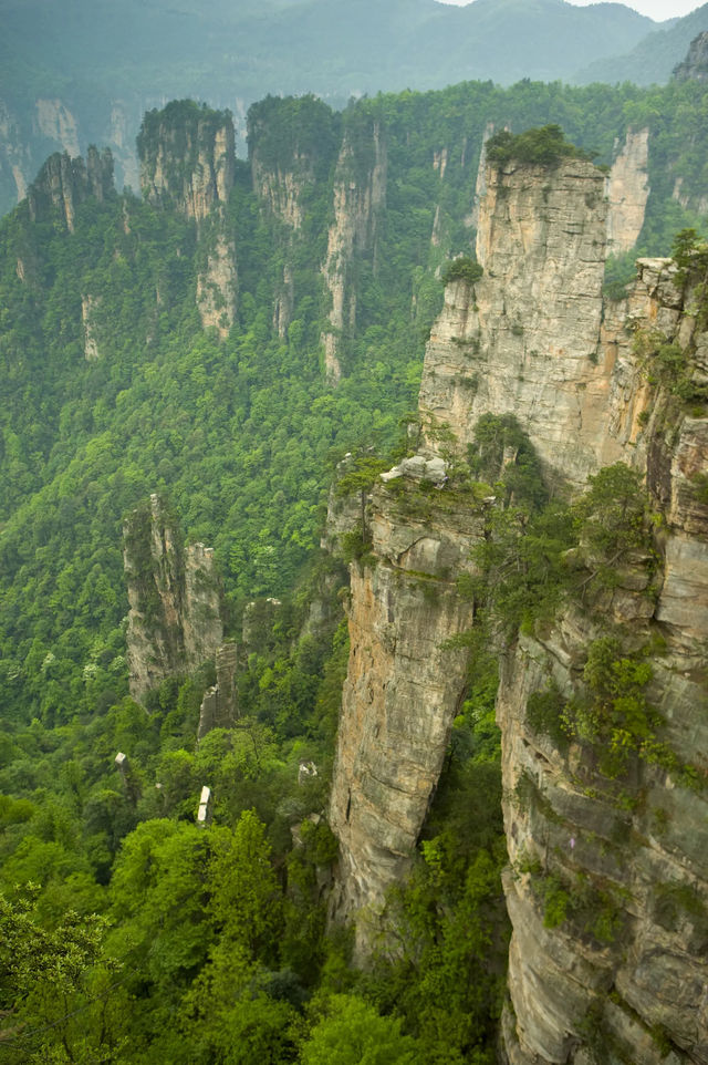 為了張家界的雲霧山景，我租車追了300公里