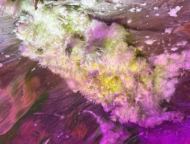 喀斯特奇觀神秘洞穴