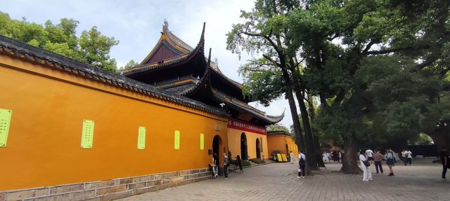 今年西園寺秋色姍姍來遲 今年西園寺秋色姍姍來遲