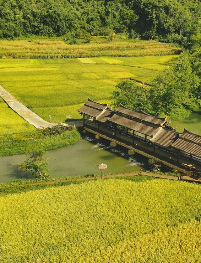 雲霧仙境徒步指南