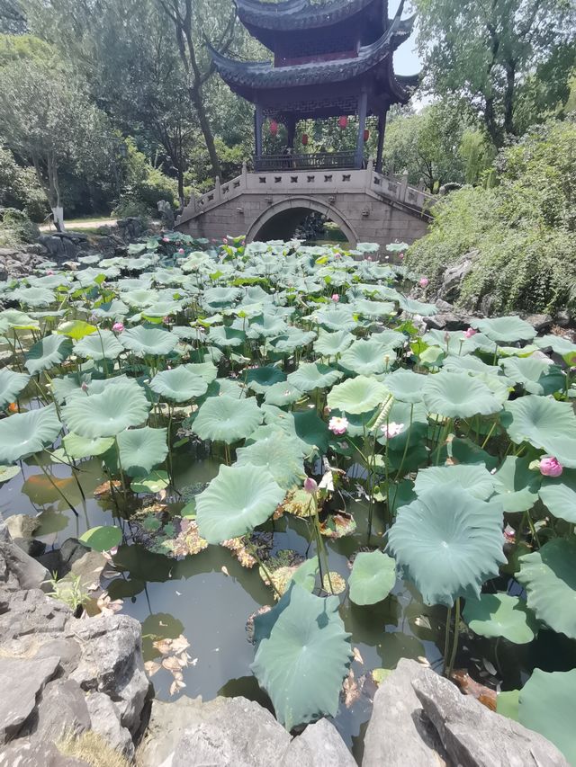 青浦仙境上海大觀園紅樓夢實景重現拍照打卡勝地