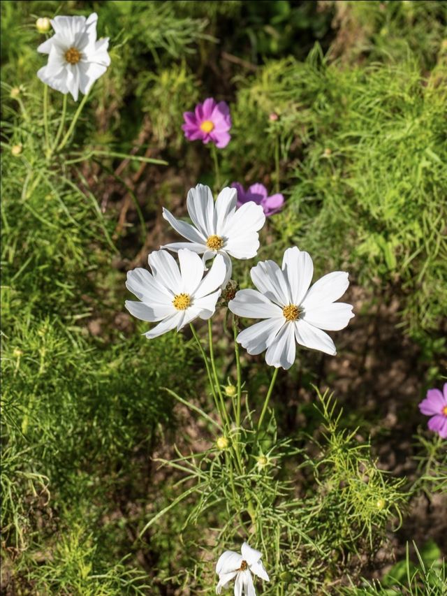 北京蓮花灘:戶外遠足真係唔使為穿搭而焦慮 北京蓮花灘:戶外遠足真係唔使為穿搭而焦慮