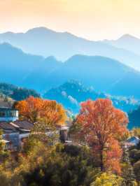 徐霞客誠不欺我黃山日出雲海絕了