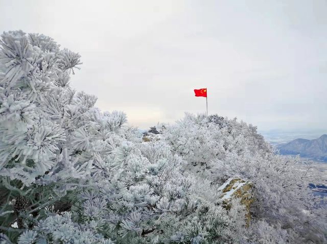 今天的一場雪 嵩山雪後的嵩山 才是打開最仙境的方式