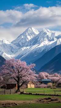 藏地美景2日全攻略
