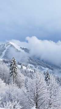 雪後嵩山美到窒息！冬日仙境打卡全攻略