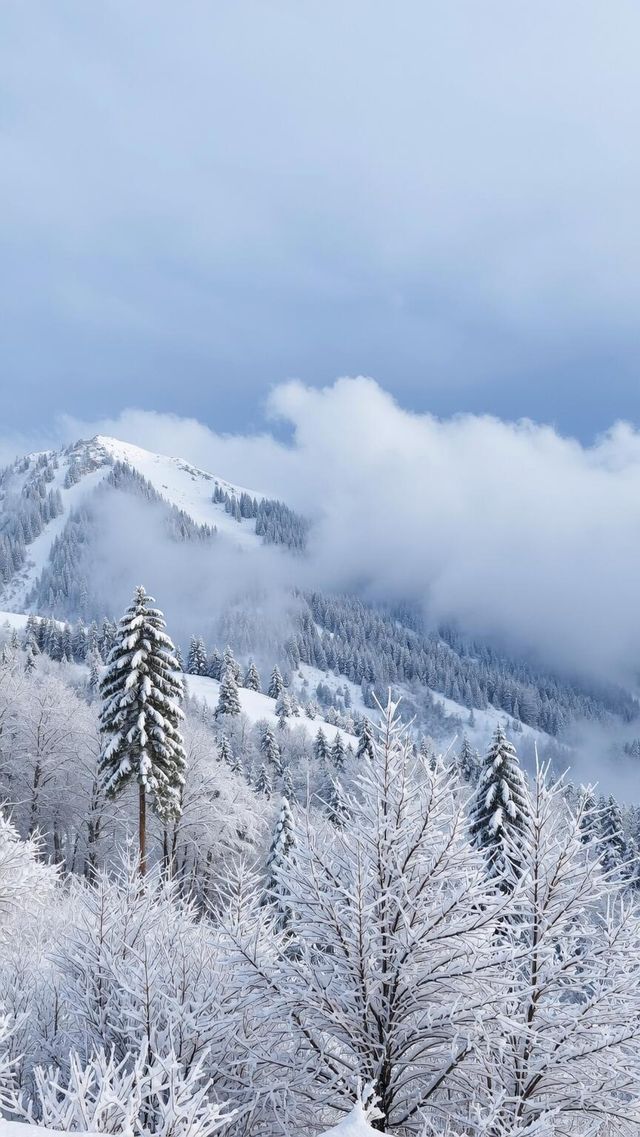 雪後嵩山美到窒息！冬日仙境打卡全攻略